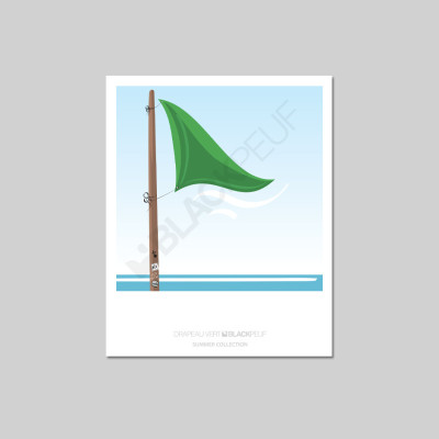 POSTKARTE DRAPEAU VERT