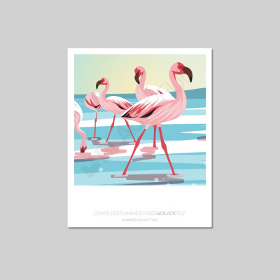 CARTE POSTALE L'ENVOL DU FLAMANT ROSE
