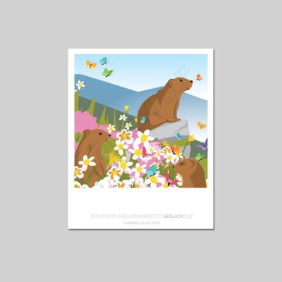 RENCONTRE AVEC DES MARMOTTES POSTCARD RENCONTRE AVEC DES MARMOTTES POSTCARD