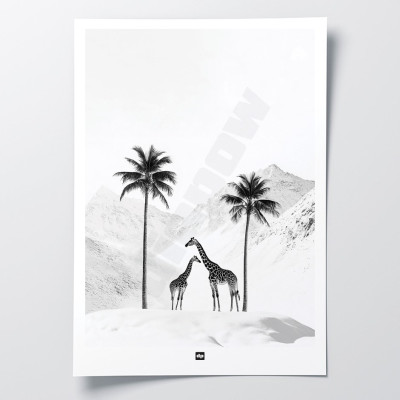 Schwarz-Weiß-Foto einer verschneiten Savanne mit Giraffen. Design-Wandposter für moderne Innendekoration. Schwarz-Weiß-Foto einer verschneiten Savanne mit Giraffen. Design-Wandposter für moderne Innendekoration.
