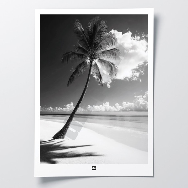 Photo noir et blanc d'une plage paradisiaque. Affiche murale design et apaisante pour décoration intérieure moderne.