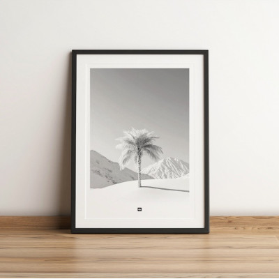 Schwarz-Weiß-Foto einer Palme inmitten einer verschneiten Landschaft. Beruhigendes Design-Wandposter. Schwarz-Weiß-Foto einer Palme inmitten einer verschneiten Landschaft. Beruhigendes Design-Wandposter.
