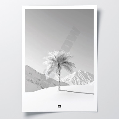 Schwarz-Weiß-Foto einer Palme inmitten einer verschneiten Landschaft. Beruhigendes Design-Wandposter. Schwarz-Weiß-Foto einer Palme inmitten einer verschneiten Landschaft. Beruhigendes Design-Wandposter.