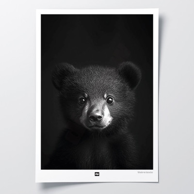 Schwarz-Weiß-Poster, minimalistische Fotografie, Design-Wanddekoration eines Braunbär-Babys für moderne Innenräume. Schwarz-Weiß-Poster, minimalistische Fotografie, Design-Wanddekoration eines Braunbär-Babys für moderne Innenräume.