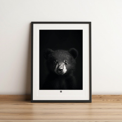Affiche noir et blanc, photographie minimaliste, décoration murale design d'un bébé ours brun pour intérieur moderne. Affiche noir et blanc, photographie minimaliste, décoration murale design d'un bébé ours brun pour intérieur moderne.