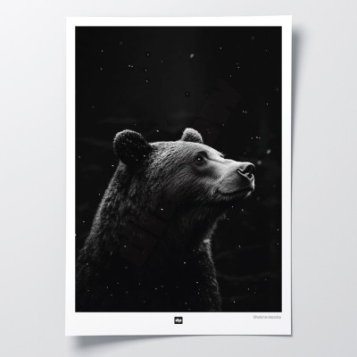 Affiche noir et blanc, photographie minimaliste, décoration murale design d'un ours des bois pour intérieur moderne. Affiche noir et blanc, photographie minimaliste, décoration murale design d'un ours des bois pour intérieur moderne.