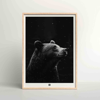 Poster in bianco e nero, fotografia minimalista, decorazione murale di design di un orso del bosco per un interno moderno. Poster in bianco e nero, fotografia minimalista, decorazione murale di design di un orso del bosco per un interno moderno.