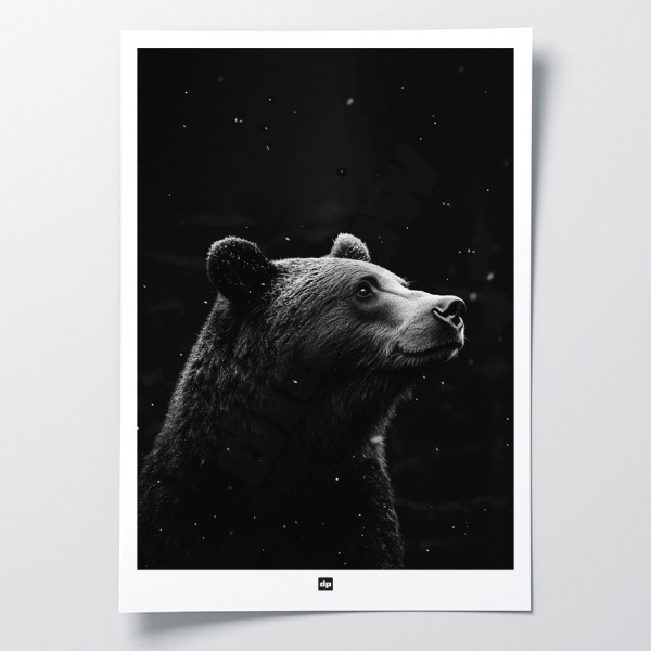 Poster in bianco e nero, fotografia minimalista, decorazione murale di design di un orso del bosco per un interno moderno.