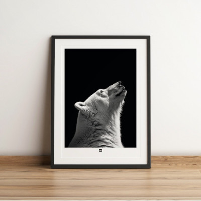 Black and white poster, minimalist photography, polar bear wall decor for modern interiors. Black and white poster, minimalist photography, polar bear wall decor for modern interiors.
