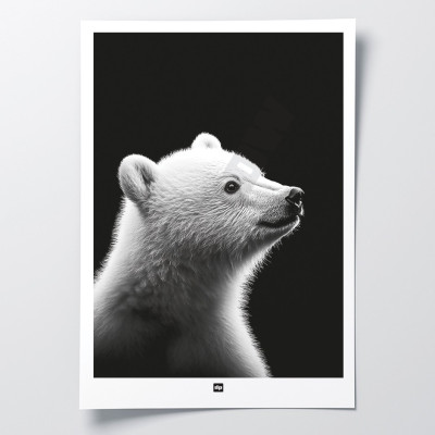 Poster in bianco e nero, fotografia minimalista, decorazione murale di design di un cucciolo di orso polare. Poster in bianco e nero, fotografia minimalista, decorazione murale di design di un cucciolo di orso polare.