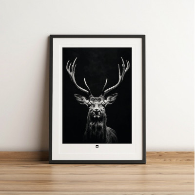 Black and white poster, minimalist photography, design wall decoration of a wood deer for modern interiors. Black and white poster, minimalist photography, design wall decoration of a wood deer for modern interiors.