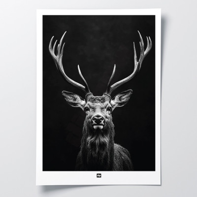Affiche noir et blanc, photographie minimaliste, décoration murale design d'un cerf des bois pour intérieur moderne. Affiche noir et blanc, photographie minimaliste, décoration murale design d'un cerf des bois pour intérieur moderne.