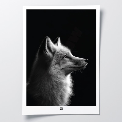 Black and white poster, minimalist photography, design wall decoration of a fox for a modern interior. Black and white poster, minimalist photography, design wall decoration of a fox for a modern interior.