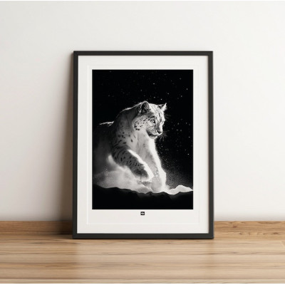 Black and white poster, minimalist photography, design wall decoration of a snow leopard for modern interiors. Black and white poster, minimalist photography, design wall decoration of a snow leopard for modern interiors.
