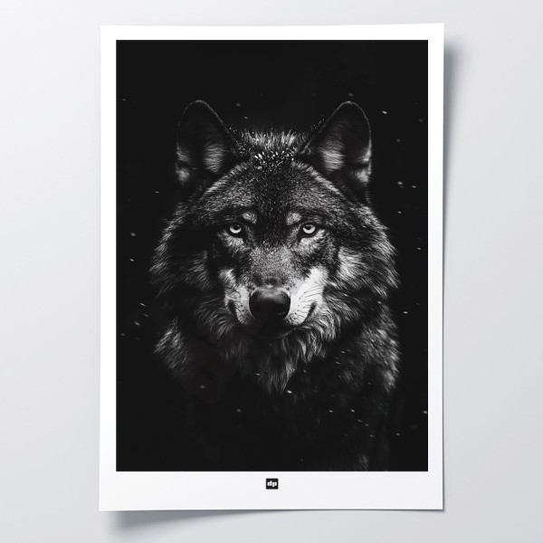 Schwarz-Weiß-Poster, minimalistische Fotografie, Design-Wanddekoration eines Wolfs für moderne Innenräume.