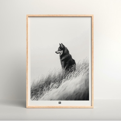 Affiche noir et blanc, photographie minimaliste, décoration murale design d'un loup des près pour intérieur moderne. Affiche noir et blanc, photographie minimaliste, décoration murale design d'un loup des près pour intérieur moderne.