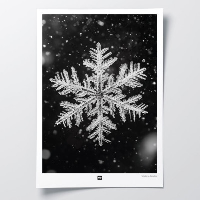 Schwarz-Weiß-Foto einer Schneeflocke. Design-Wandposter Winter für designorientierte und moderne Innendekoration. Schwarz-Weiß-Foto einer Schneeflocke. Design-Wandposter Winter für designorientierte und moderne Innendekoration.