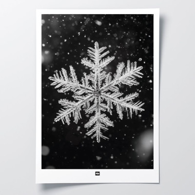 Schwarz-Weiß-Foto einer Schneeflocke. Design-Wandposter Winter für designorientierte und moderne Innendekoration. Schwarz-Weiß-Foto einer Schneeflocke. Design-Wandposter Winter für designorientierte und moderne Innendekoration.