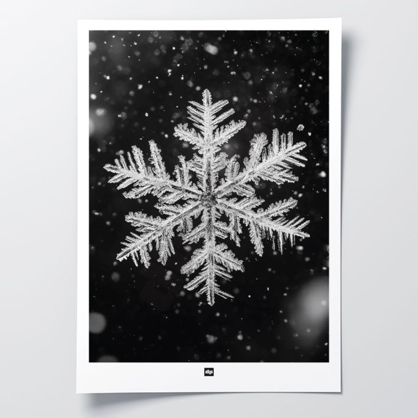 Black and white photo of a snowflake. Winter design wall poster for modern design interior decoration.