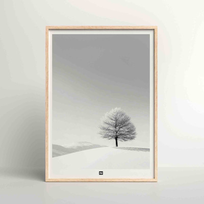 Photo noir et blanc d’un arbre gelé au cœur d’un paysage enneigé. Affiche murale design d'hiver pour décoration design. Photo noir et blanc d’un arbre gelé au cœur d’un paysage enneigé. Affiche murale design d'hiver pour décoration design.
