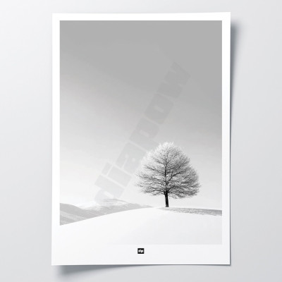 Photo noir et blanc d’un arbre gelé au cœur d’un paysage enneigé. Affiche murale design d'hiver pour décoration design. Photo noir et blanc d’un arbre gelé au cœur d’un paysage enneigé. Affiche murale design d'hiver pour décoration design.