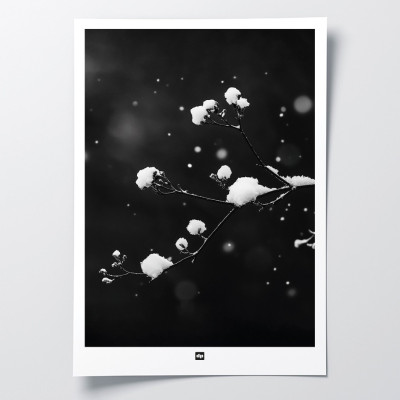 Foto in bianco e nero di un ramo con neve. Applique invernale di design per interni moderni. Foto in bianco e nero di un ramo con neve. Applique invernale di design per interni moderni.