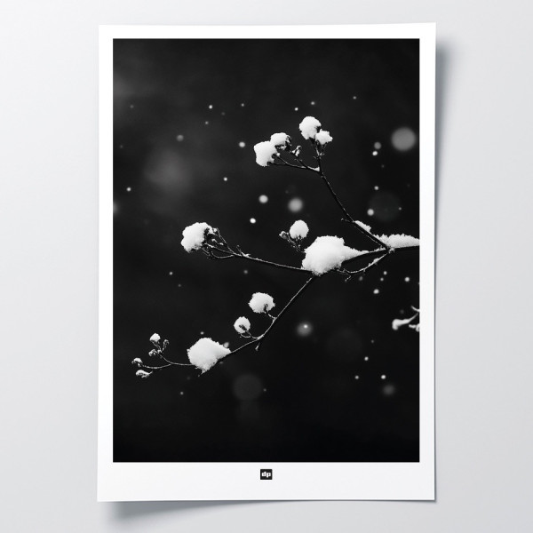 Foto in bianco e nero di un ramo con neve. Applique invernale di design per interni moderni.