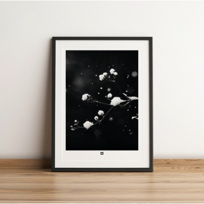 Foto in bianco e nero di un ramo con neve. Applique invernale di design per interni moderni. Foto in bianco e nero di un ramo con neve. Applique invernale di design per interni moderni.