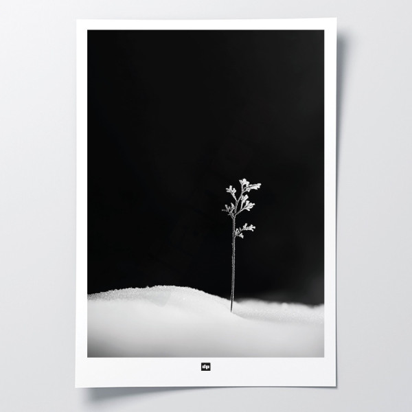 Foto in bianco e nero di un ramoscello che simboleggia la prima vita. Appendiabiti invernale moderno e di design.
