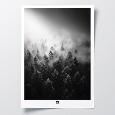 Schwarz-Weiß-Foto eines Waldes im Nebel. Winterliches Wandposter für moderne Innendekoration und Design. Schwarz-Weiß-Foto eines Waldes im Nebel. Winterliches Wandposter für moderne Innendekoration und Design.