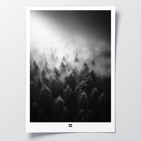 Schwarz-Weiß-Foto eines Waldes im Nebel. Winterliches Wandposter für moderne Innendekoration und Design.