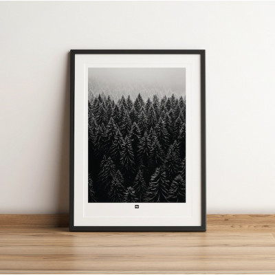 Black and white photo of a forest with a forest of fir trees seen. Winter wall hanging for modern interior design. Black and white photo of a forest with a forest of fir trees seen. Winter wall hanging for modern interior design.