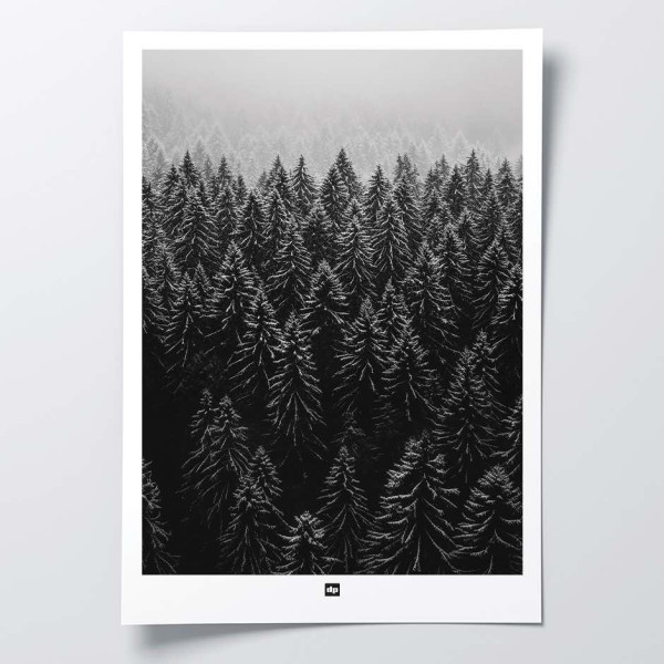Black and white photo of a forest with a forest of fir trees seen. Winter wall hanging for modern interior design.
