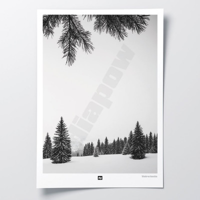 Foto in bianco e nero di abeti innevati in montagna. Applique invernale moderna e di design. Foto in bianco e nero di abeti innevati in montagna. Applique invernale moderna e di design.
