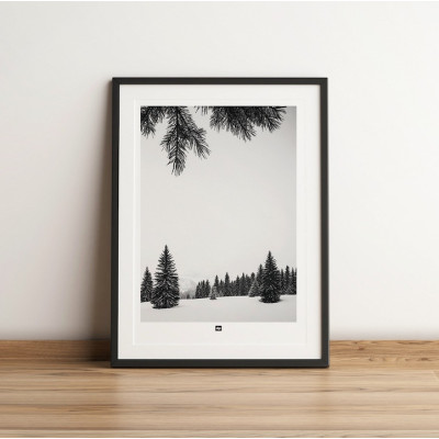 Foto in bianco e nero di abeti innevati in montagna. Applique invernale moderna e di design. Foto in bianco e nero di abeti innevati in montagna. Applique invernale moderna e di design.