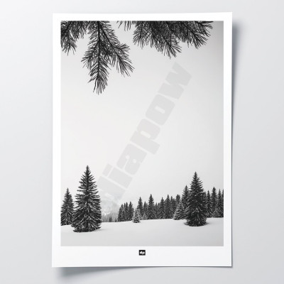 Foto in bianco e nero di abeti innevati in montagna. Applique invernale moderna e di design. Foto in bianco e nero di abeti innevati in montagna. Applique invernale moderna e di design.