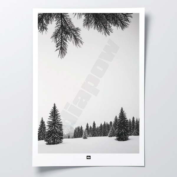 Photo noir et blanc d'une pleine de sapins enneigé en montagne. Affiche murale d'hiver design et moderne.