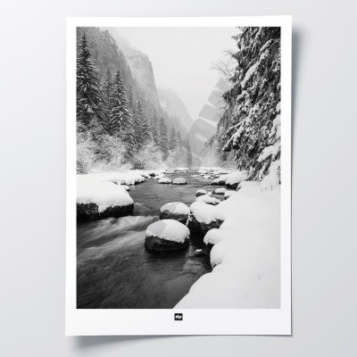 Black and white photo of a river surrounded by fir trees in the mountains. Modern, designer winter wall hanging. Black and white photo of a river surrounded by fir trees in the mountains. Modern, designer winter wall hanging.