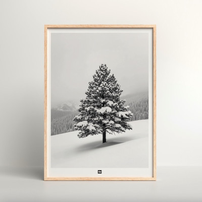 Foto in bianco e nero di un abete in un paesaggio montano innevato. Applique invernale moderna e di design. Foto in bianco e nero di un abete in un paesaggio montano innevato. Applique invernale moderna e di design.
