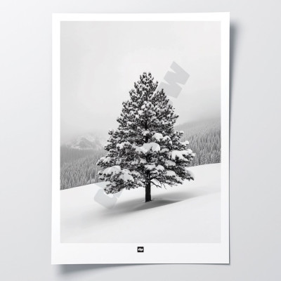 Foto in bianco e nero di un abete in un paesaggio montano innevato. Applique invernale moderna e di design. Foto in bianco e nero di un abete in un paesaggio montano innevato. Applique invernale moderna e di design.