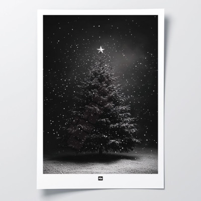 Foto in bianco e nero di un abete con fiocchi di neve. Appendiabiti invernale moderno e di design. Foto in bianco e nero di un abete con fiocchi di neve. Appendiabiti invernale moderno e di design.