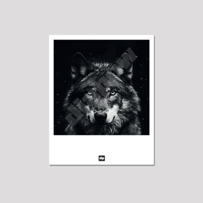 Carte postale noir et blanc d'un loup des bois, photo souvenir de montagne design et moderne. Carte postale noir et blanc d'un loup des bois, photo souvenir de montagne design et moderne.