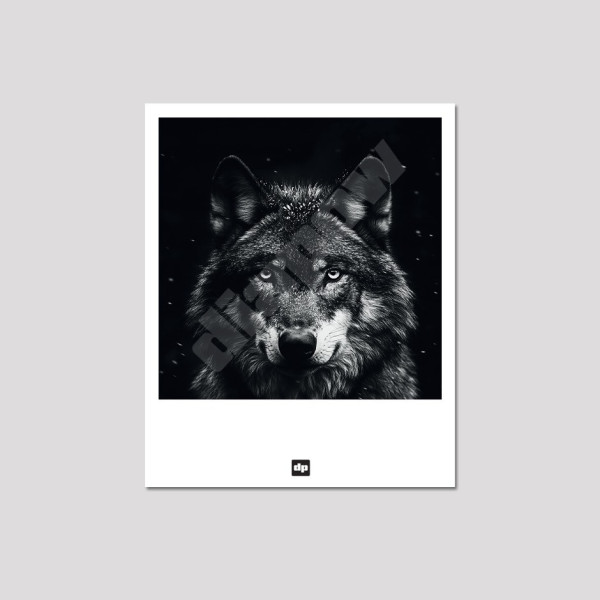 Carte postale noir et blanc d'un loup des bois, photo souvenir de montagne design et moderne.