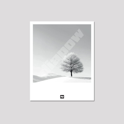 Photo noir et blanc d’un arbre gelé au cœur d’un paysage enneigé. Carte postale souvenir de montagne. Photo noir et blanc d’un arbre gelé au cœur d’un paysage enneigé. Carte postale souvenir de montagne.