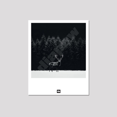 Carte postale noir et blanc, photographie d’un cerf majestueux dans une plaine d'herbe enneigée avec une forêt en fond.