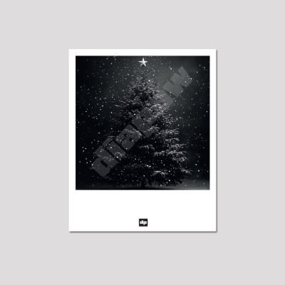 Photo noir et blanc d’un sapin de noël avec des flocons de neige. Carte postale souvenir de montagne design et moderne.