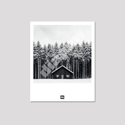 Carte postale noir et blanc, photographie d'un chalet devant une forêt de sapins, souvenir de montagne design et moderne. Carte postale noir et blanc, photographie d'un chalet devant une forêt de sapins, souvenir de montagne design et moderne.