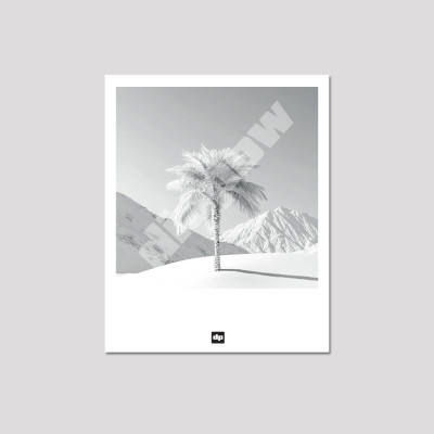 Schwarz-Weiß-Foto einer Palme inmitten einer verschneiten Landschaft. Eine beruhigende Design-Postkarte als Urlaubserinnerung. Schwarz-Weiß-Foto einer Palme inmitten einer verschneiten Landschaft. Eine beruhigende Design-Postkarte als Urlaubserinnerung.