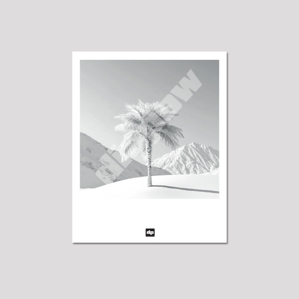 Photo noir et blanc d’un palmier au cœur d’un décor enneigé. Carte postale design et apaisante pour souvenir de vacance.