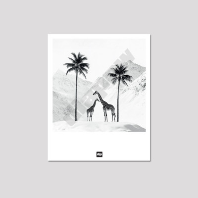 Photo noir et blanc d’une savane enneigée avec des girafes. Carte postale design et moderne pour souvenir de vacance. Photo noir et blanc d’une savane enneigée avec des girafes. Carte postale design et moderne pour souvenir de vacance.